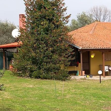 Olympos House Villa Litochoro Exterior photo